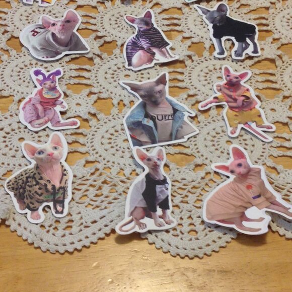 Sphynx Cats Stickers, funny, quirky, silly, for cellphone, crafts, hydroflask - Picture 3 of 6